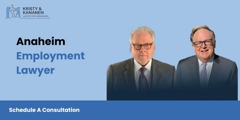 best anaheim employment lawyer